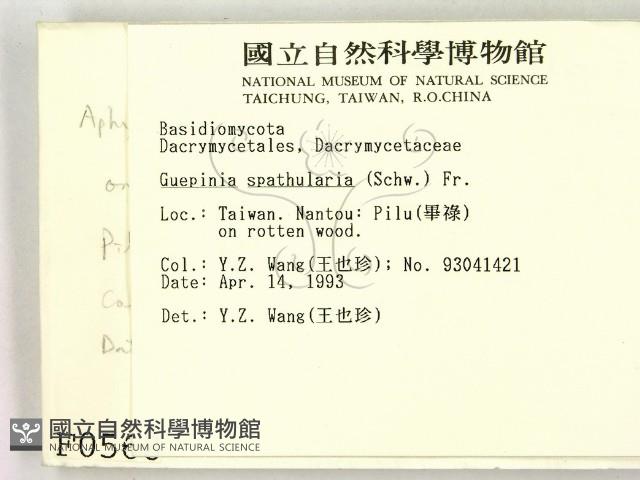 登錄號:F0000568藏品圖，第2張