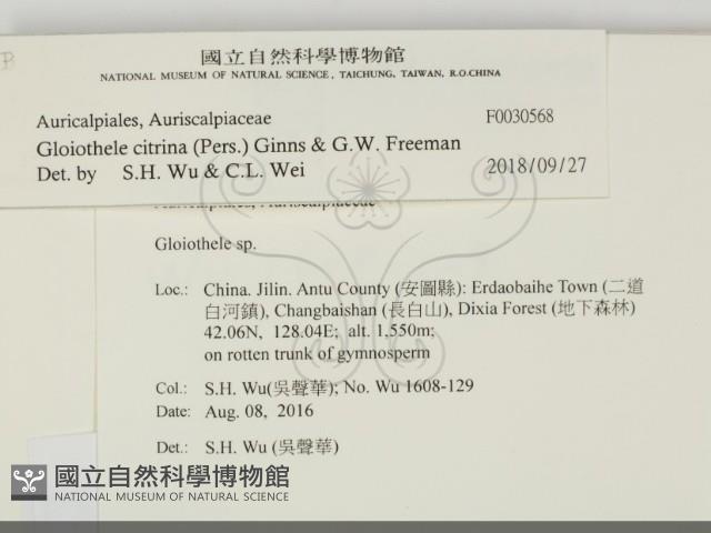 登錄號:F0030568藏品圖，第2張