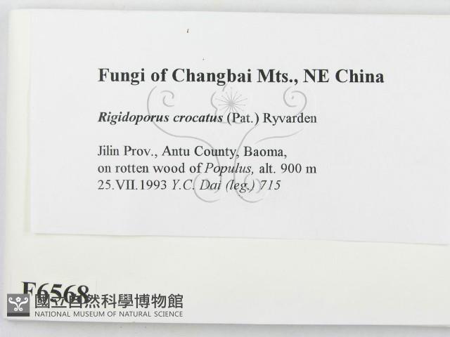 登錄號:F0006568藏品圖，第2張