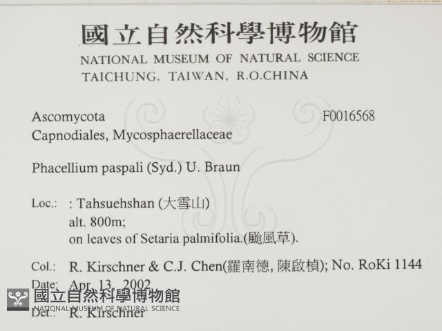 登錄號:F0016568藏品圖，第2張