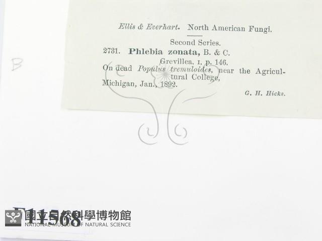 登錄號:F0011568藏品圖，第2張
