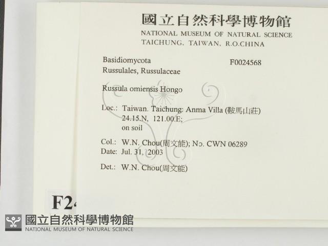 登錄號:F0024568藏品圖，第2張