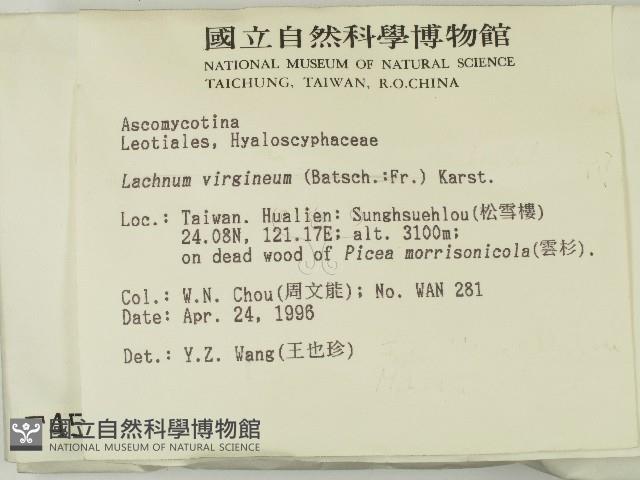 登錄號:F0004568藏品圖，第2張