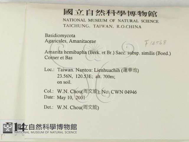 登錄號:F0014568藏品圖，第2張