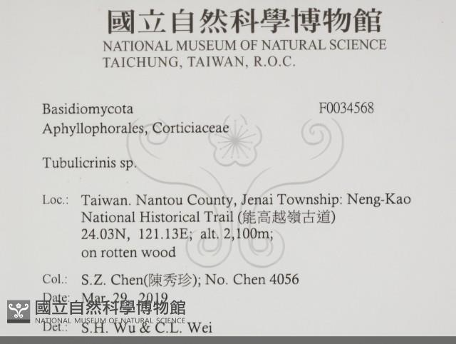 登錄號:F0034568藏品圖，第2張