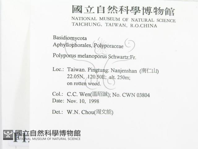 登錄號:F0012568藏品圖，第2張