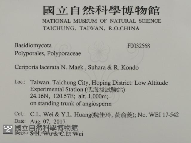 登錄號:F0032568藏品圖，第2張