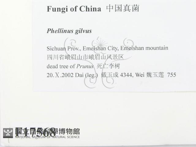 登錄號:F0017568藏品圖，第2張