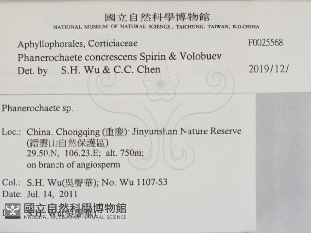 登錄號:F0025568藏品圖，第2張