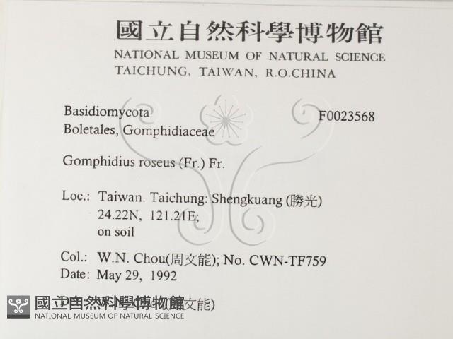 登錄號:F0023568藏品圖，第2張
