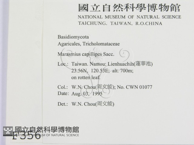 登錄號:F0003568藏品圖，第2張