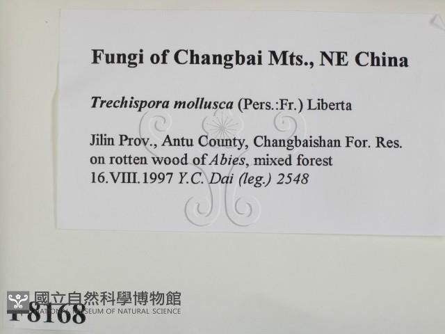 登錄號:F0008168藏品圖，第2張