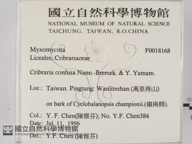 登錄號:F0018168藏品圖，第2張