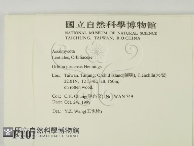 登錄號:F0010168藏品圖，第2張