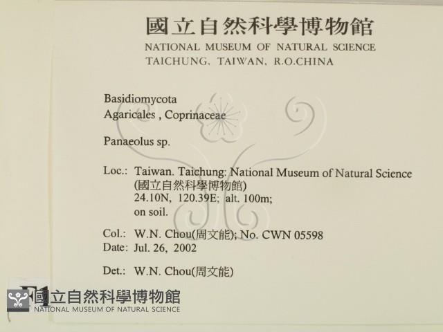 登錄號:F0016168藏品圖，第2張
