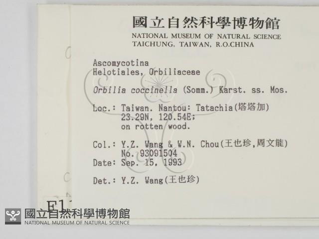 登錄號:F0001168藏品圖，第2張