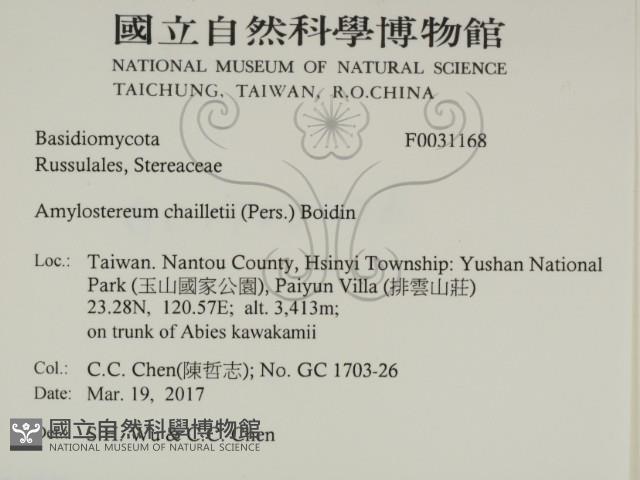 登錄號:F0031168藏品圖，第2張