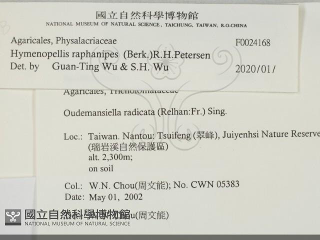 登錄號:F0024168藏品圖，第2張