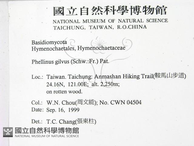 登錄號:F0014168藏品圖，第2張