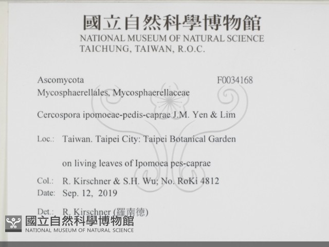 登錄號:F0034168藏品圖，第2張