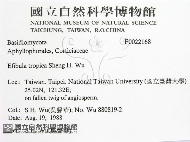 登錄號:F0022168藏品圖，第2張