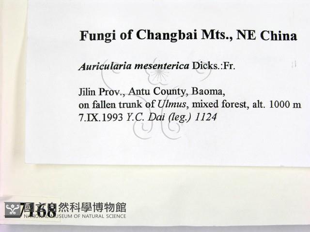 登錄號:F0007168藏品圖，第2張