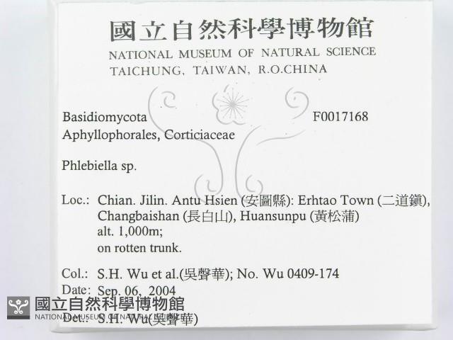 登錄號:F0017168藏品圖，第2張