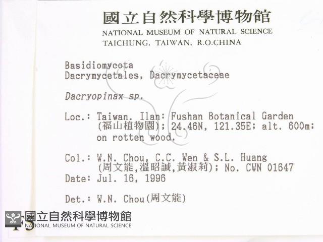 登錄號:F0005168藏品圖，第2張