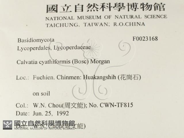 登錄號:F0023168藏品圖，第2張