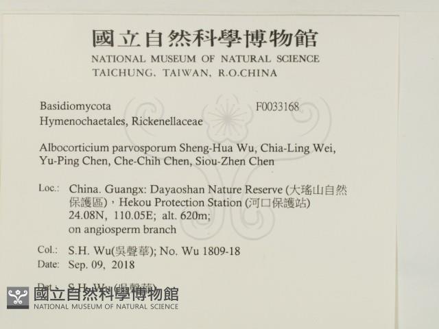 登錄號:F0033168藏品圖，第2張