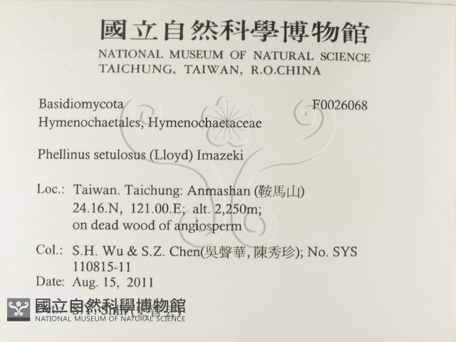 登錄號:F0026068藏品圖，第2張