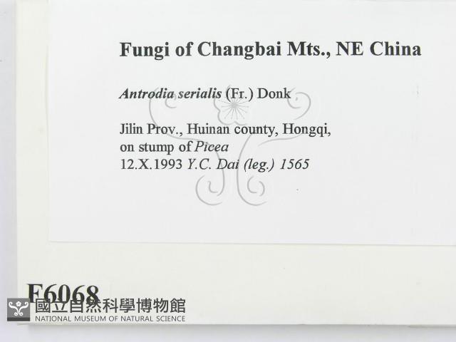 登錄號:F0006068藏品圖，第2張