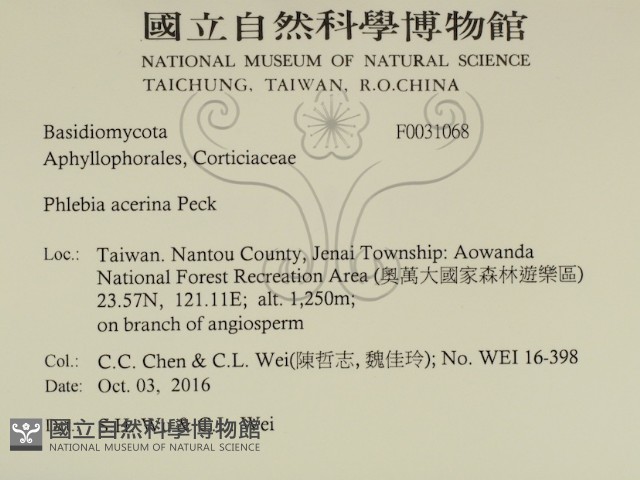 登錄號:F0031068藏品圖，第2張