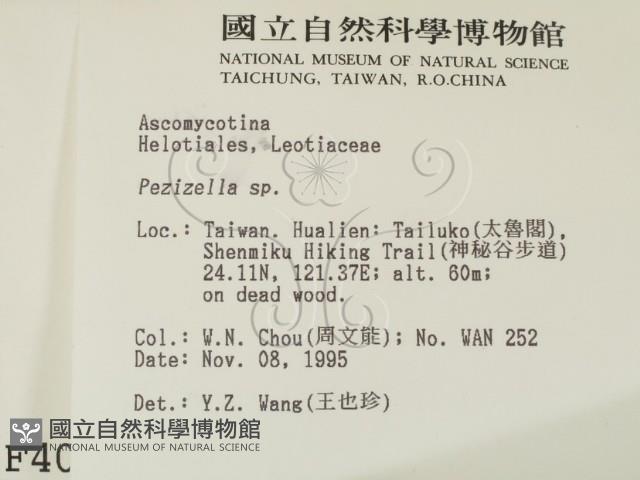 登錄號:F0004068藏品圖，第2張