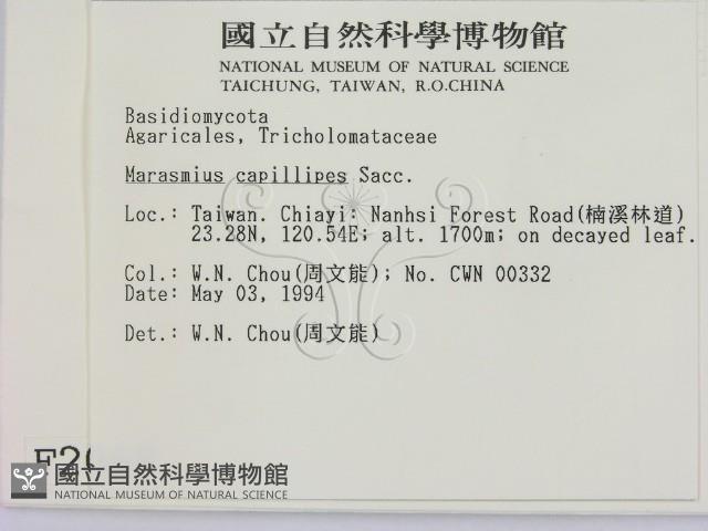登錄號:F0002068藏品圖，第2張