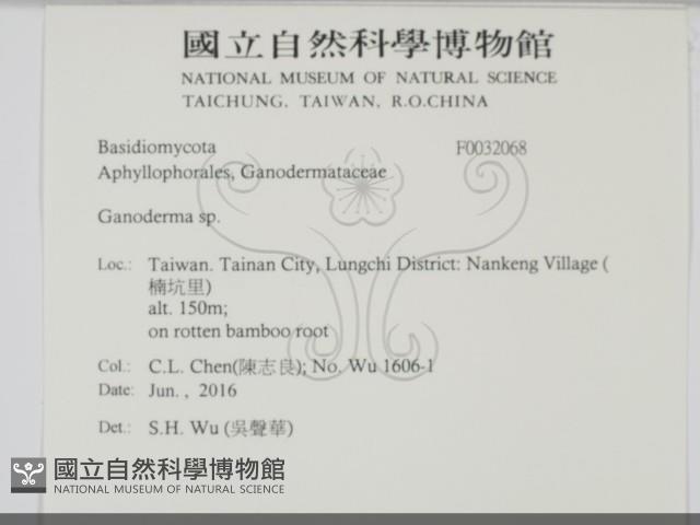 登錄號:F0032068藏品圖，第2張
