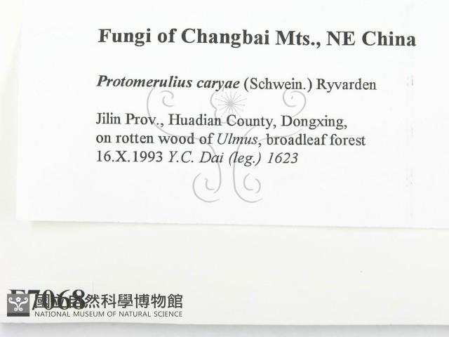 登錄號:F0007068藏品圖，第2張