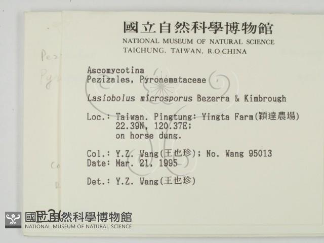 登錄號:F0003068藏品圖，第2張