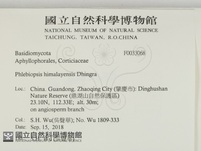 登錄號:F0033068藏品圖，第2張