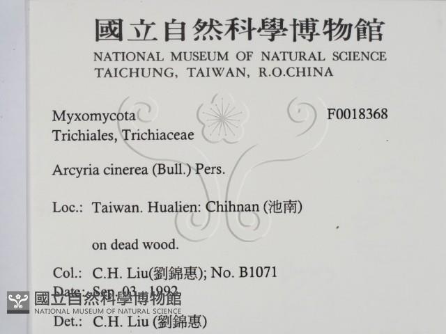 登錄號:F0018368藏品圖，第2張