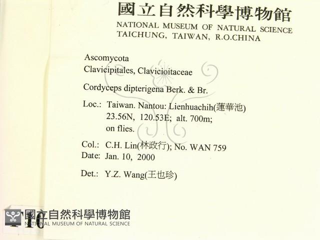 登錄號:F0010368藏品圖，第2張