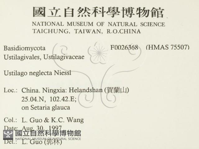 登錄號:F0026368藏品圖，第2張