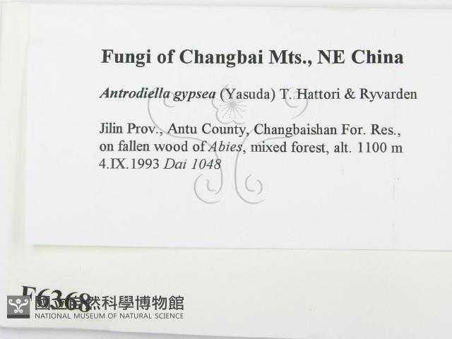 登錄號:F0006368藏品圖，第2張