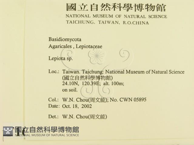 登錄號:F0016368藏品圖，第2張