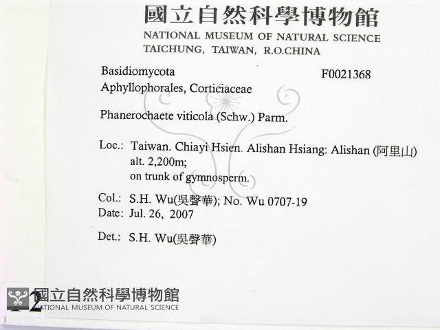 登錄號:F0021368藏品圖，第2張