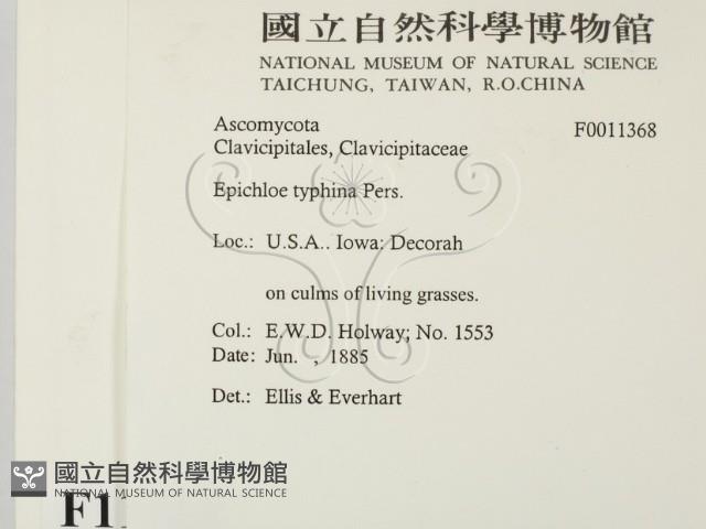 登錄號:F0011368藏品圖，第2張