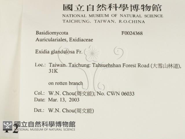 登錄號:F0024368藏品圖，第2張