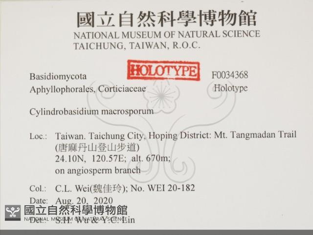 登錄號:F0034368藏品圖，第2張