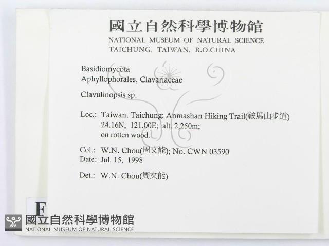 登錄號:F0012368藏品圖，第2張