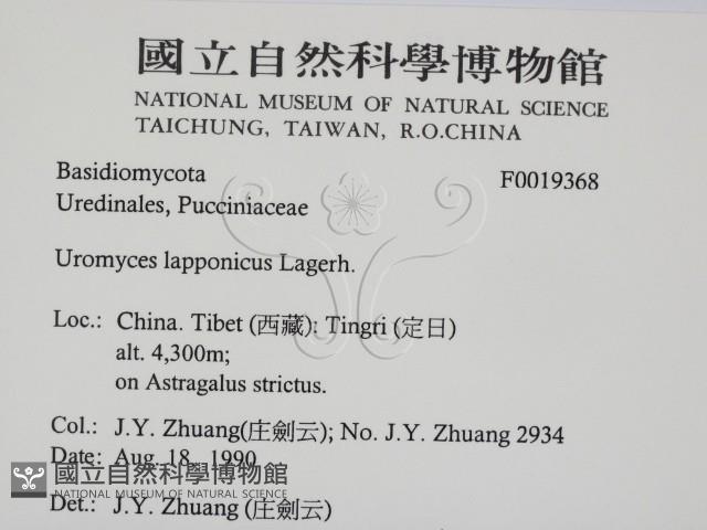 登錄號:F0019368藏品圖，第2張